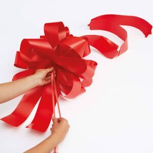 Celebrate it Mega Bow Car Large Gift